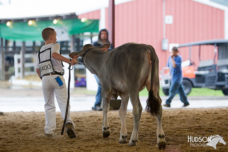 LCFAIR14-0859.jpg