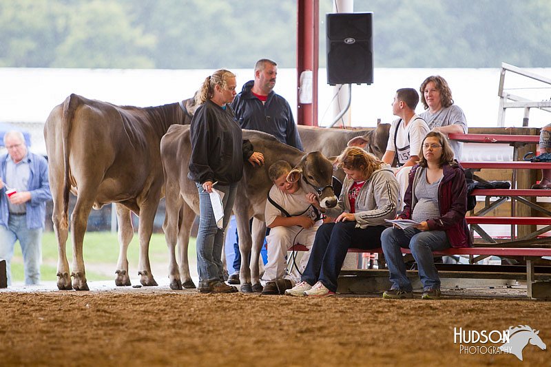 LCFAIR14-0864.jpg