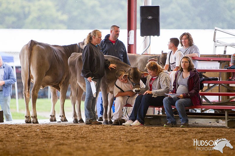 LCFAIR14-0865.jpg