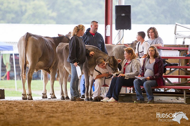 LCFAIR14-0866.jpg
