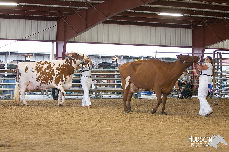 LCFAIR14-0912.jpg