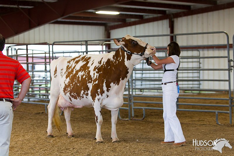 LCFAIR14-0913.jpg