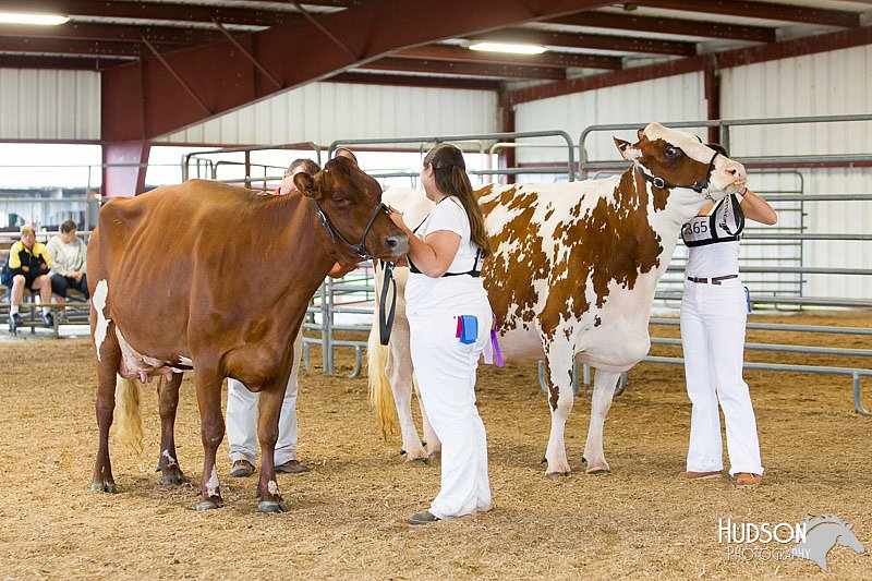 LCFAIR14-0914.jpg