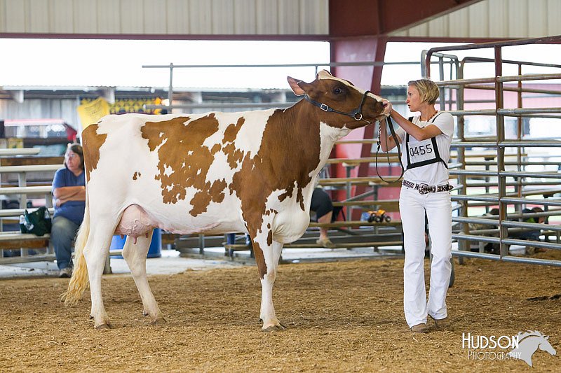LCFAIR14-0915.jpg