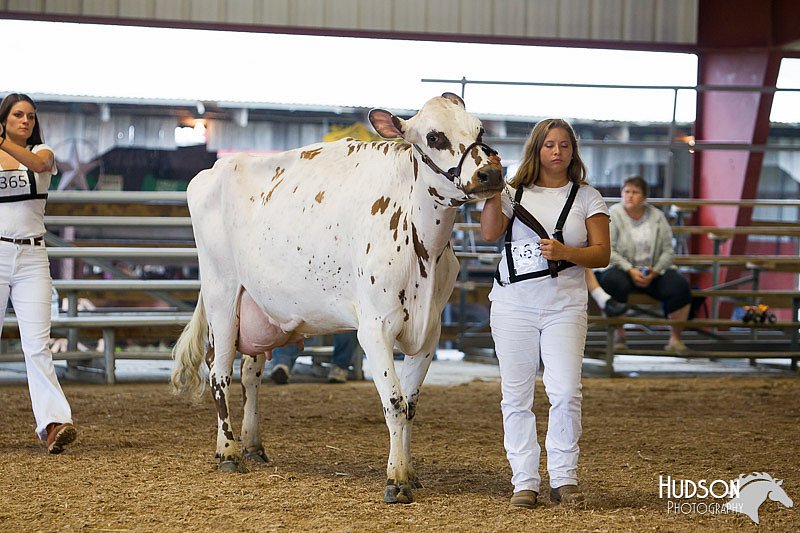 LCFAIR14-0920.jpg