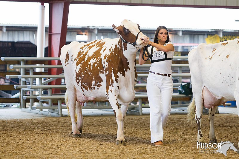 LCFAIR14-0921.jpg
