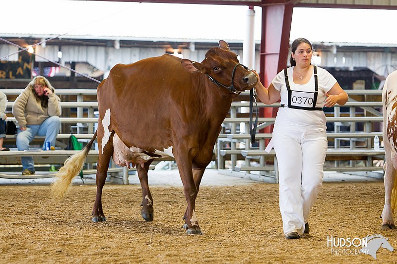 LCFAIR14-0922.jpg