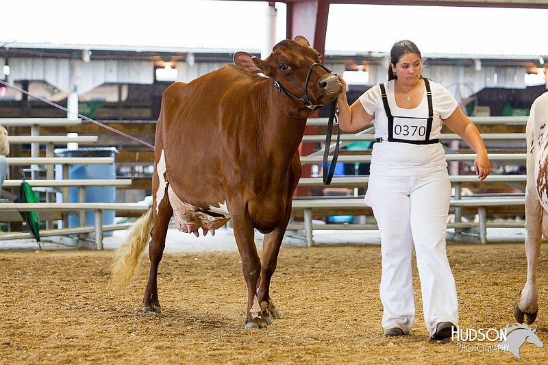 LCFAIR14-0923.jpg