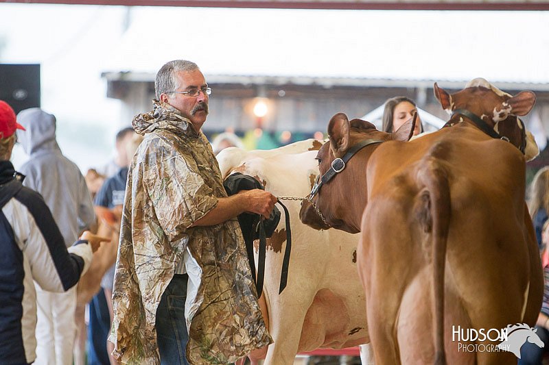 LCFAIR14-0924.jpg