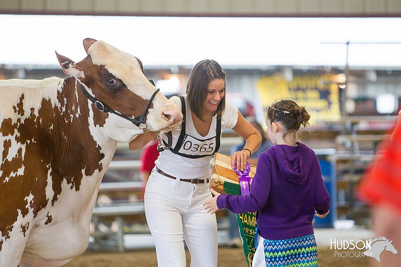 LCFAIR14-0926.jpg