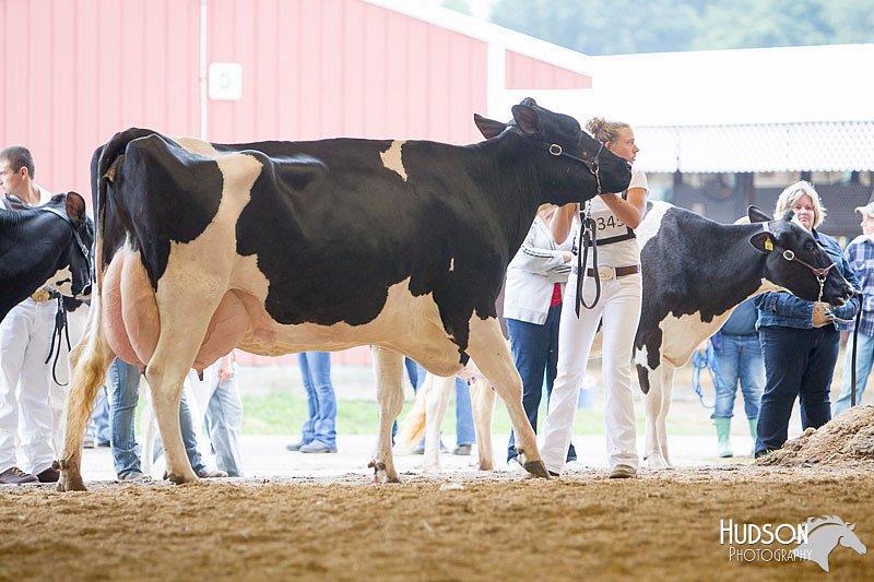 LCFAIR14-1024.jpg