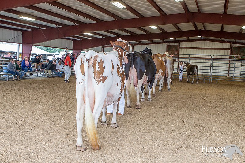 LCFAIR14-1056.jpg
