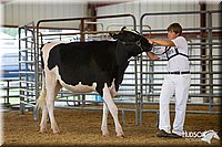 LCFAIR14-0689.jpg