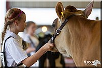LCFAIR14-0719.jpg