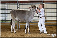 LCFAIR14-0721.jpg