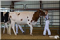 LCFAIR14-0773.jpg