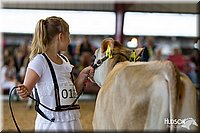 LCFAIR14-0779.jpg