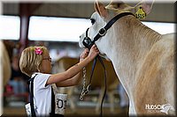 LCFAIR14-0795.jpg