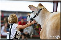 LCFAIR14-0796.jpg