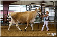 LCFAIR14-0798.jpg