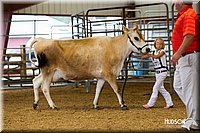 LCFAIR14-0799.jpg
