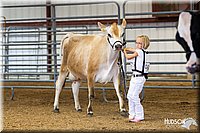 LCFAIR14-0800.jpg