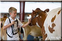 LCFAIR14-0801.jpg