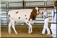 LCFAIR14-0802.jpg