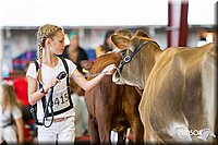 LCFAIR14-0803.jpg