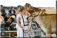 LCFAIR14-0808.jpg