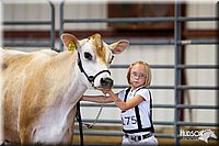 LCFAIR14-0809.jpg