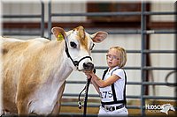 LCFAIR14-0810.jpg