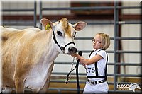 LCFAIR14-0811.jpg