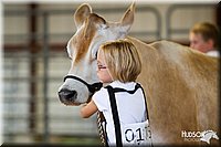 LCFAIR14-0812.jpg