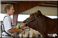 LCFAIR14-0813.jpg