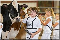 LCFAIR14-0815.jpg