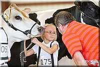LCFAIR14-0817.jpg