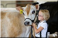 LCFAIR14-0837.jpg
