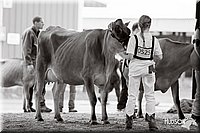 LCFAIR14-0840.jpg