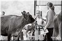 LCFAIR14-0841.jpg