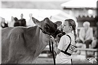 LCFAIR14-0843.jpg