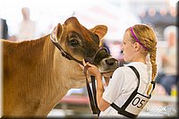 LCFAIR14-0846.jpg