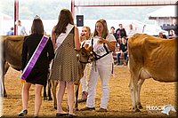 LCFAIR14-0850.jpg