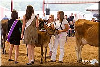 LCFAIR14-0851.jpg