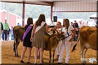 LCFAIR14-0852.jpg