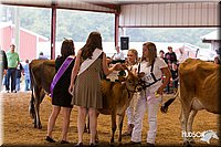 LCFAIR14-0853.jpg