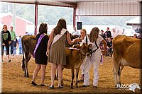 LCFAIR14-0854.jpg