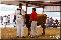 LCFAIR14-0855.jpg