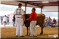 LCFAIR14-0856.jpg