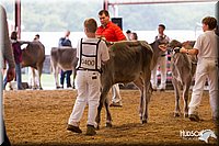 LCFAIR14-0857.jpg